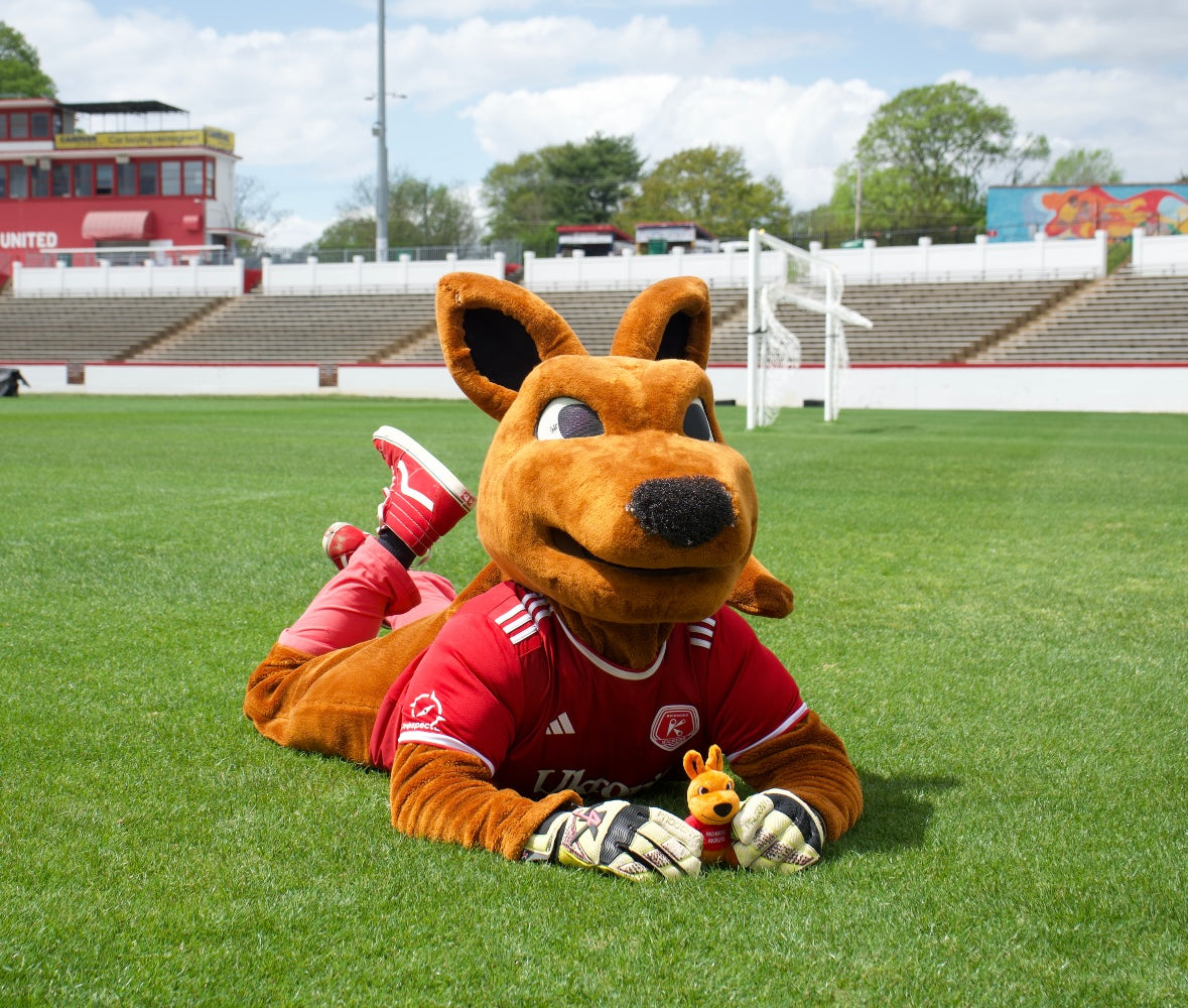 Kickeroo Plush Toy