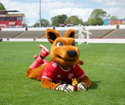 Kickeroo Plush Toy