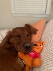 Kickeroo Plush Toy