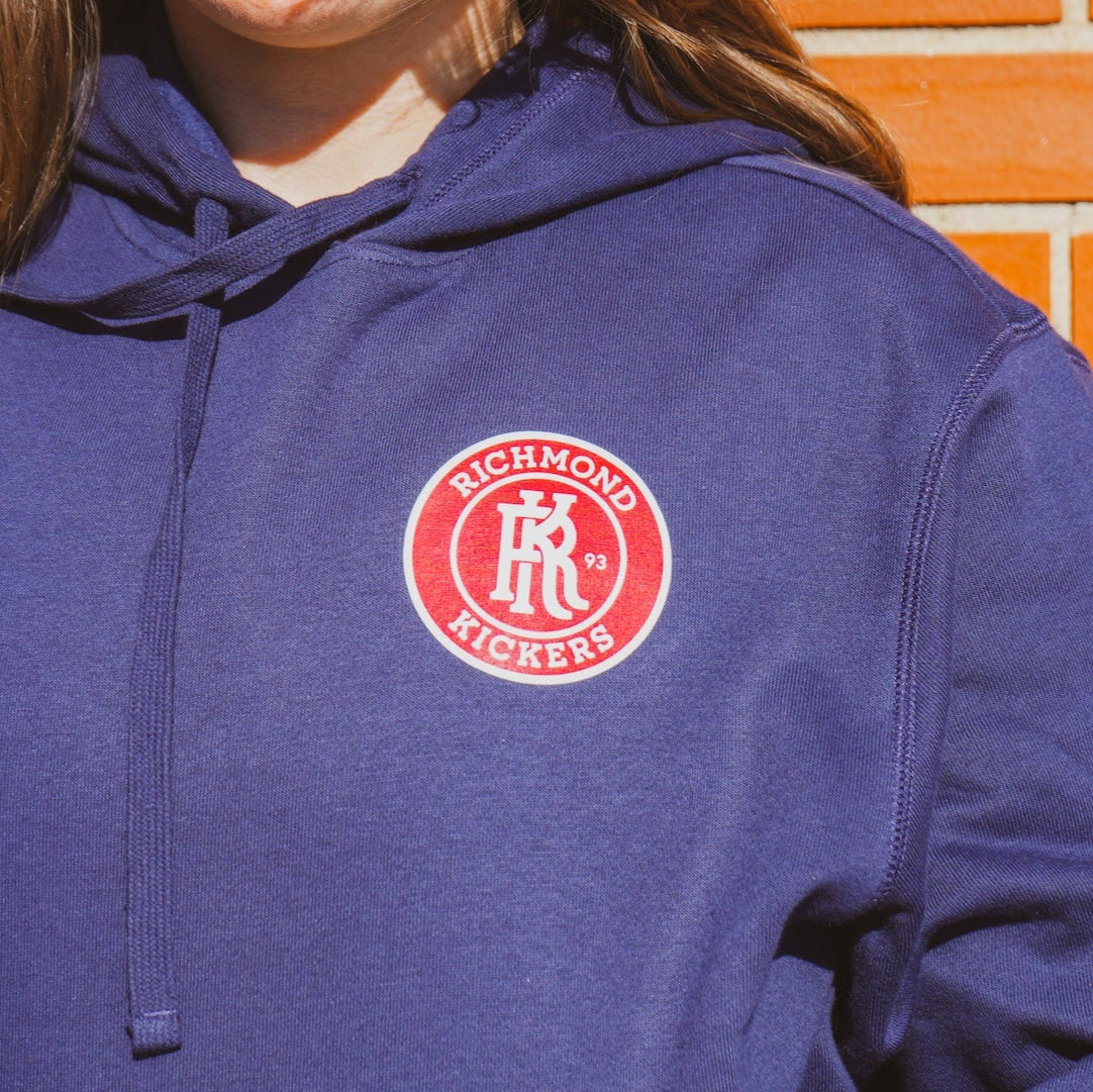 Toddler Primary Small Logo Navy Hoodie