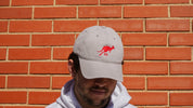 Roo Grey Hat