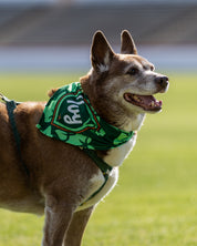 Ivy Dog Bandana