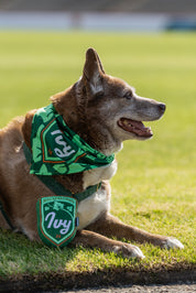 Ivy Dog Bandana