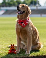 Kickers Dog Bandana